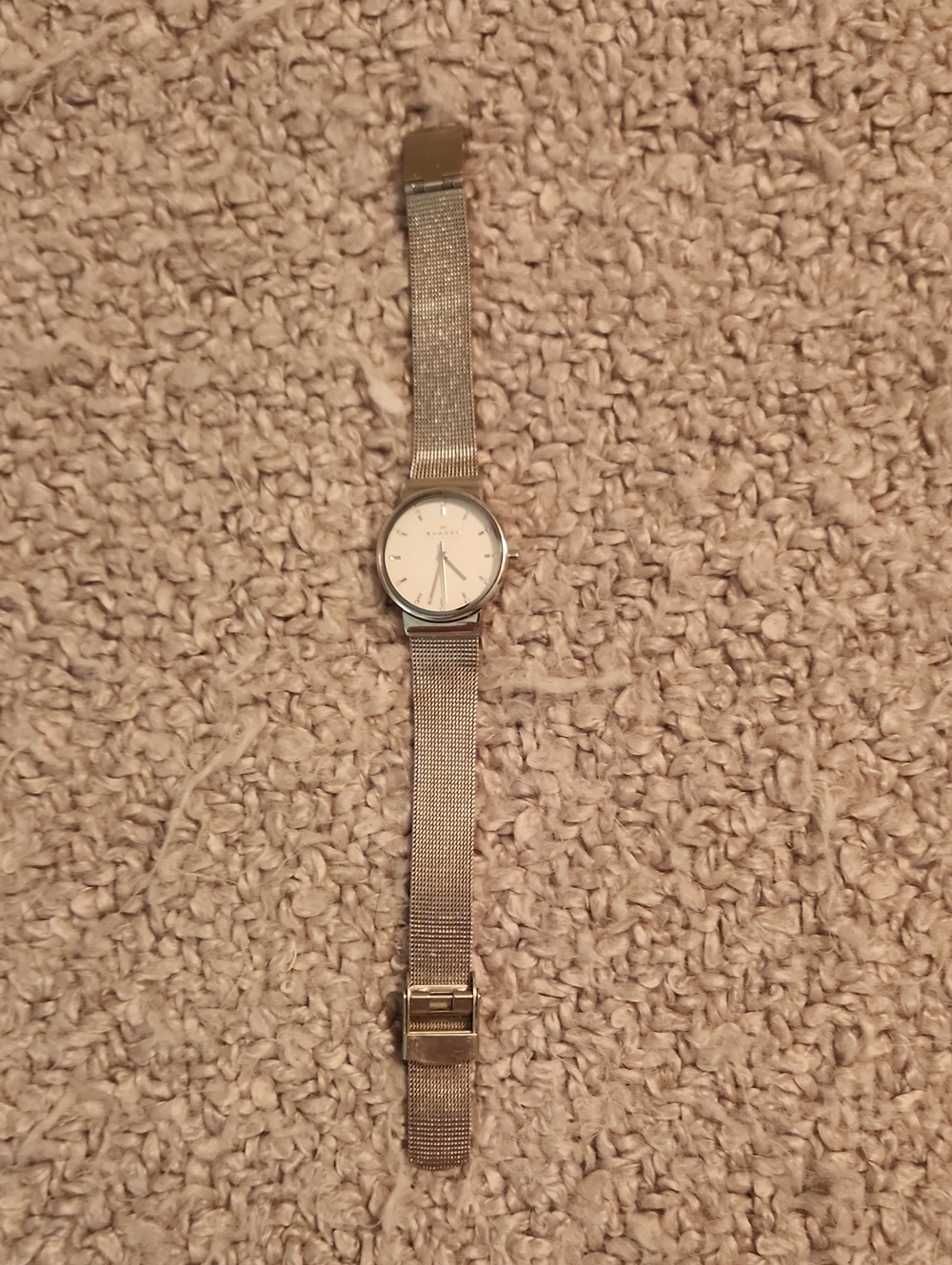 Skagen Silver Mesh Band Minimalist Wristwatch - Stainless Look